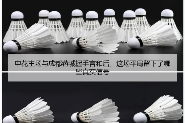 申花主场与成都蓉城握手言和后，这场平局留下了哪些真实信号